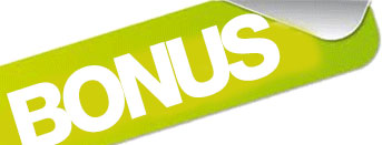 bonus-fiscale